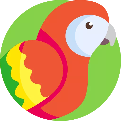 Minlive.de